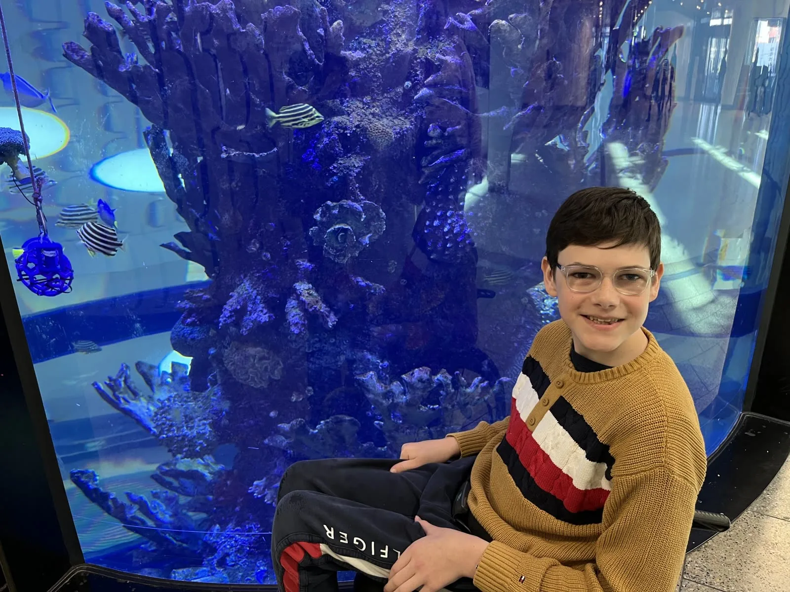 Participant exploring a fish tank